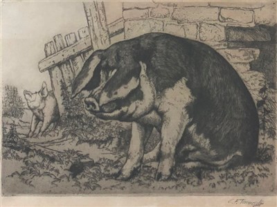 Lot 92 - Charles Frederick Tunnicliffe R.A. OBE (1901-1979), The Spotted Sow