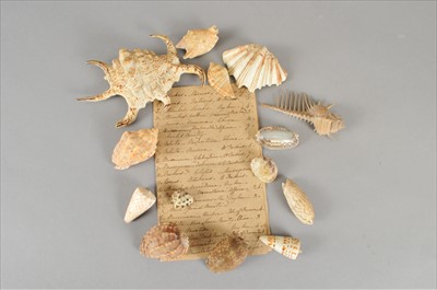 Lot 436 - A Victorian collection of sea shells with a hand-written list.