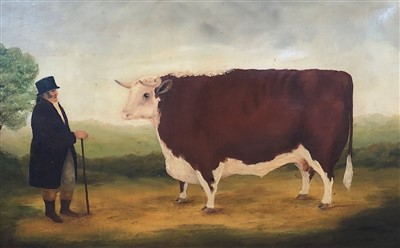 Lot 427 - English school, naive cow
