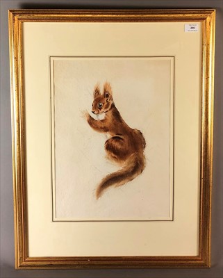 Lot 296 - Elieen Soper, Squirrel, watercolour