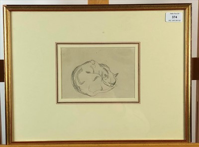 Lot 374 - Steven Spurrier, sketch of a sleeping cat, drawing