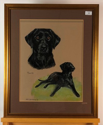 Lot 381 - Mary Browning, pastel