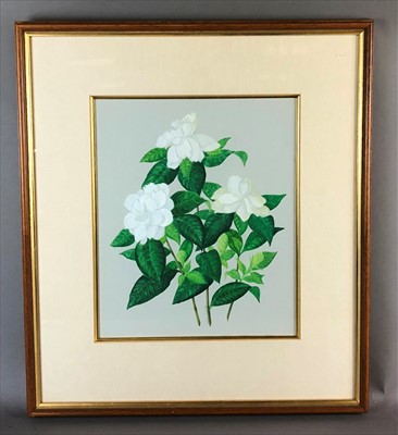 Lot 421 - F M Buckland, still life, gouache
