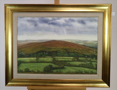 Lot 217 - Peter Archer (British Contemporary), Field and Ben Alligen