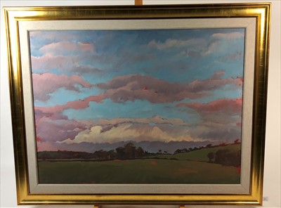 Lot 343 - Tracey Quinn (Irish Contemporary), Pink Skies in County Wicklow