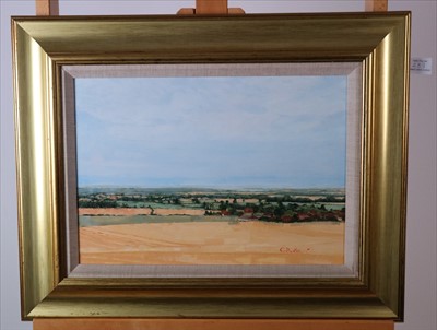 Lot 283 - Charles Rake NEAC (British Contemporary), Cornfield