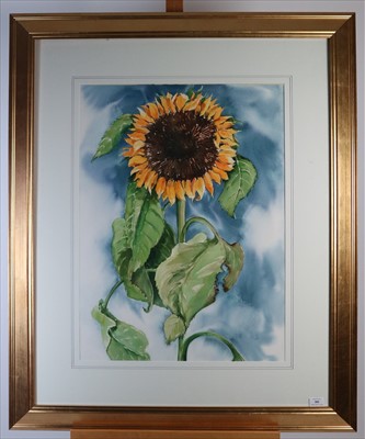 Lot 385 - 20th Century, Sunflower watercolour