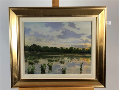 Lot 384 - David Shevlino (British Contemporary), Lakeside View