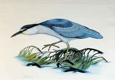 Lot 305 - Ian strange. print