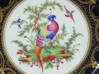 Lot 509 - Pair of Worcester 'Fancy Bird' plates