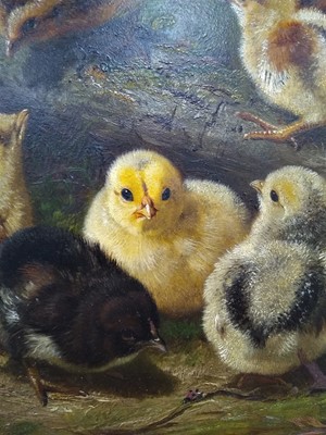 Lot 793 - Arthur Fitzwilliam Tait, Chicks, oil on board
