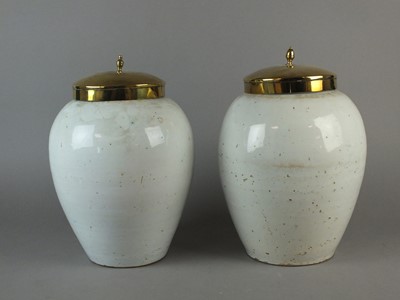 Lot 10 - Two 18th century delft dry drugs jars