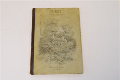 Lot 233 - BLACKBURN, Mrs Hugh, Birds Drawn from Nature....