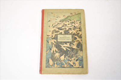 Lot 231 - WHITE, Adam, The Instructive Picture Book, or...