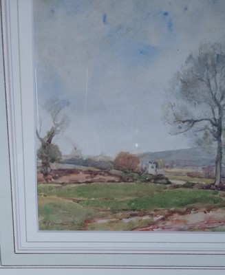 Lot 54 - Samuel John Lamorna Birch RWS RA (Newlyn School, 1869-1955), Sheep and Trees