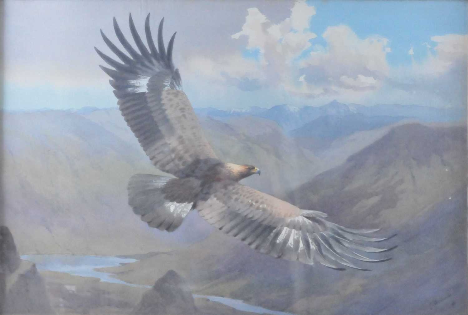 Lot 400 - John Cyril Harrison (British, 1898 - 1985), A Golden Eagle in flight above the Scottish Highlands