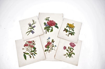 Lot 395 - Collection of Six 19th Century Flora Watercolours