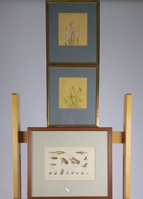 Lot 16 - Collection of prints and paintings