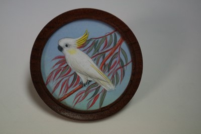 Lot 78 - Miniature painting of a Sulphur Crested Cockatoo