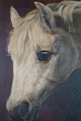 Lot 1 - 19th-early 20th Century Portrait of a Horse