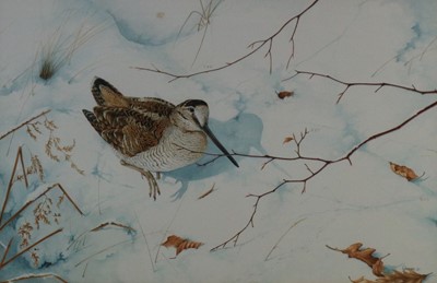 Lot 238 - Owen Williams (British Contemporary) Woodcock in the Snow