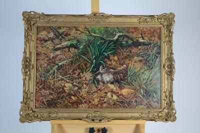 Lot 71 - William Hollywood (British 1923-2007), Woodcock amongst the leaves
