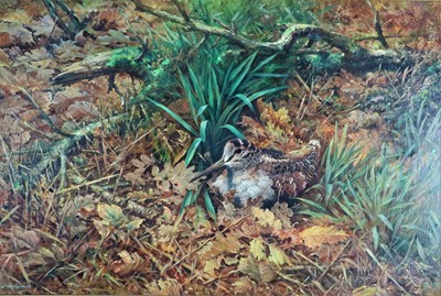 Lot 71 - William Hollywood (British 1923-2007), Woodcock amongst the leaves