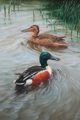Lot 73 - William Hollywood (British 1923-1990) Pair of Ducks on the Water