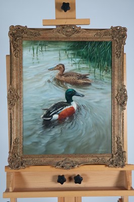 Lot 73 - William Hollywood (British 1923-1990) Pair of Ducks on the Water