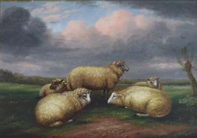 Lot 178 - Arthur Jackson (British School active 1885-1910) Sheep Resting