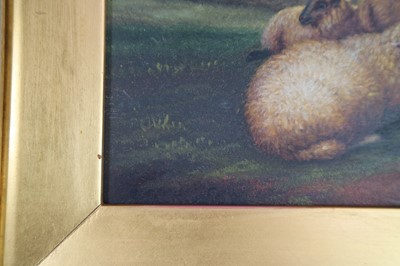 Lot 178 - Arthur Jackson (British School active 1885-1910) Sheep Resting