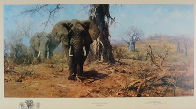 Lot 104 - David Shepherd (1931-2017) Three Limited Edition Prints