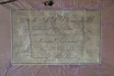 Lot 202 - British School (19th Century) HMS Cormorant, Sloop in Coastal Waters