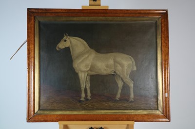 Lot 213 - British School (19th Century), Grey Horse in Loose Box