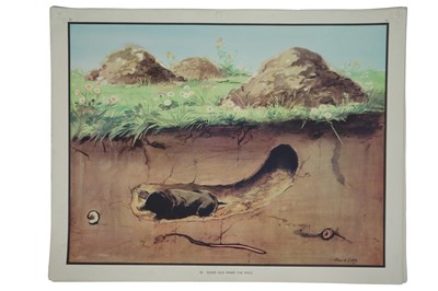 Lot 310 - A Collection of Eileen Soper (1905-1990) Classroom Prints