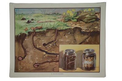 Lot 310 - A Collection of Eileen Soper (1905-1990) Classroom Prints
