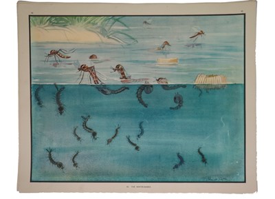 Lot 310 - A Collection of Eileen Soper (1905-1990) Classroom Prints