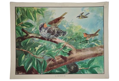 Lot 310 - A Collection of Eileen Soper (1905-1990) Classroom Prints