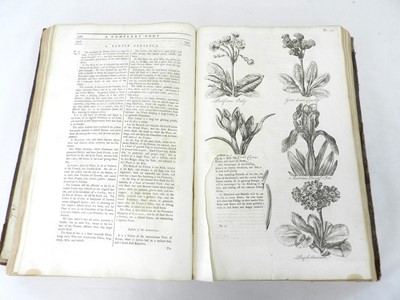 Lot 72 - HILL, Sir John, Eden, or a Compleat Body of Gardening. 1st edn 1757