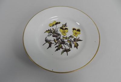 Lot 166 - A Derby botanical dessert plate