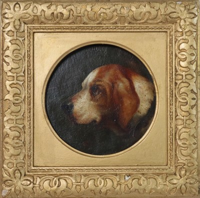 Lot 299 - Group of Oil Studies including a Hound Dog