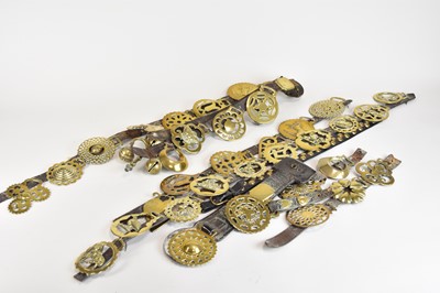 Lot 469 - A collection of brass horse brasses and martingales