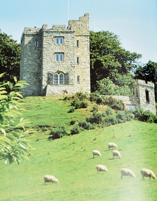 Lot 231 - A scale model of Castell Gyrn, Ruthin, North...