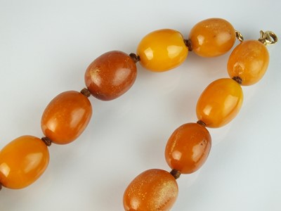 Lot 30 - A graduated oval amber bead necklace