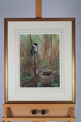 Lot 86 - Nigel Artingstall (British b.1963) Nesting Birds