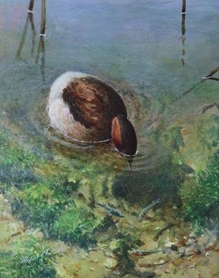 Lot 91 - Richard J Smith (British Contemporary), Water Bird Stalking Fish
