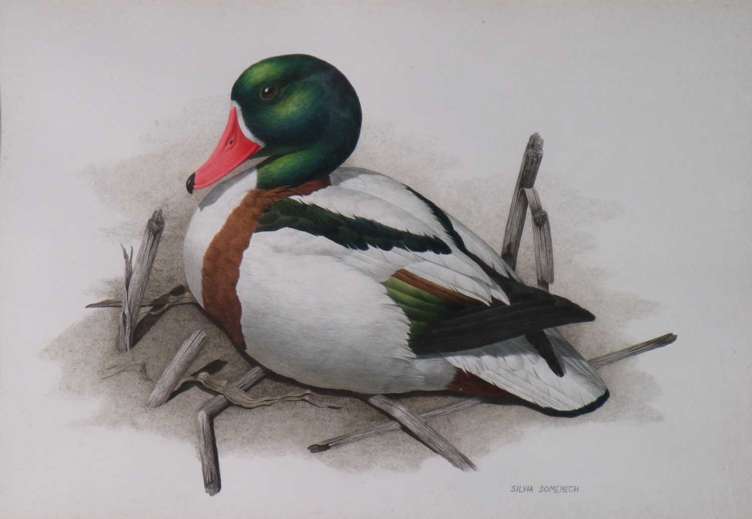 Lot 288 - Silvia Domenech (British, 20th century), Sitting Duck