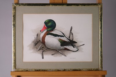 Lot 288 - Silvia Domenech (British, 20th century), Sitting Duck