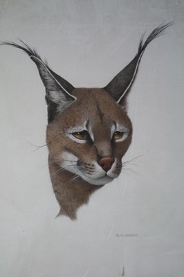 Lot 121 - Silvia Domenech (20th century), Lynx Type Wild Cat Head Study