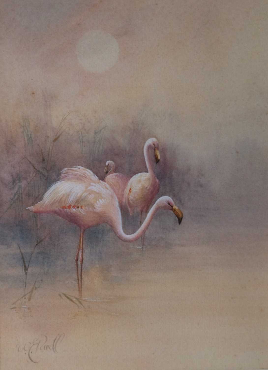 Lot 99 - William E.Powell (British, 1878-1958), A Pair of Wildlife Watercolours